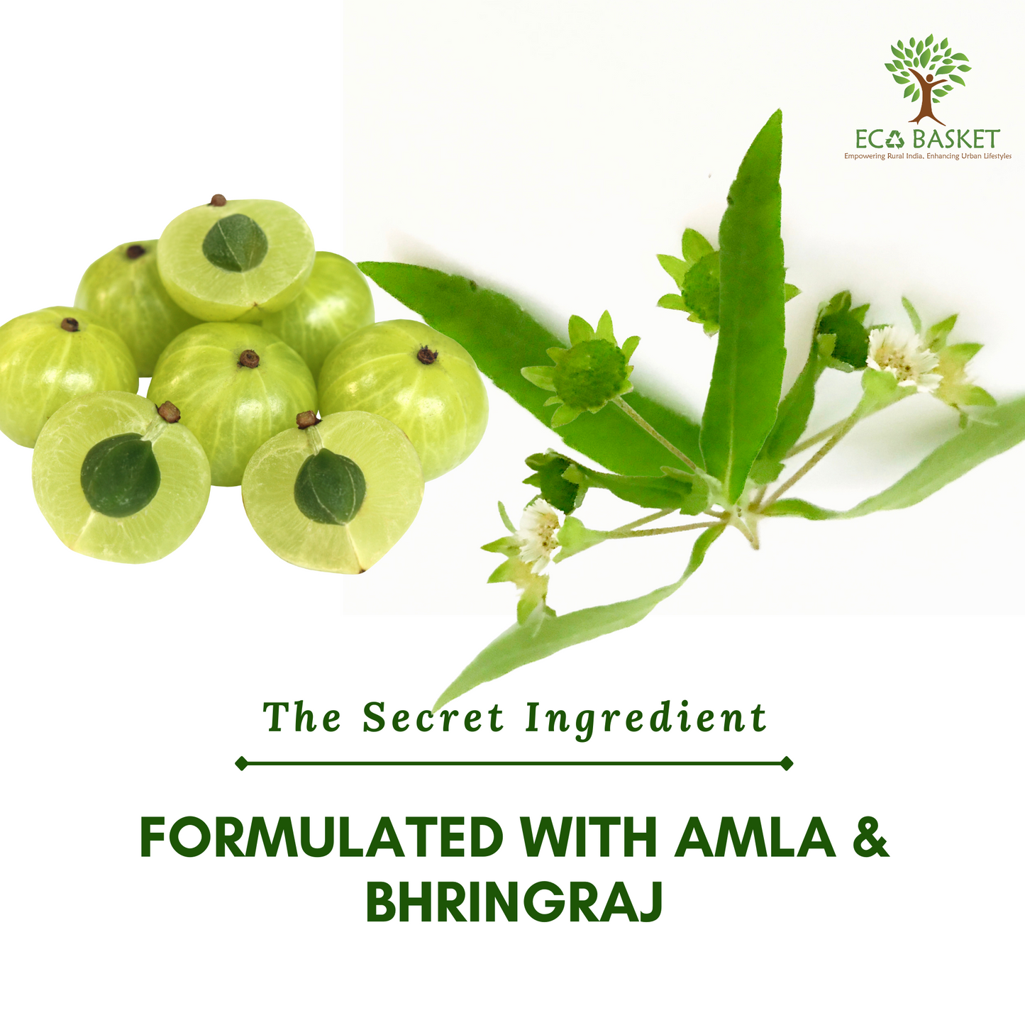 Natural Amla & Bhringraj Conditioner 200 ML